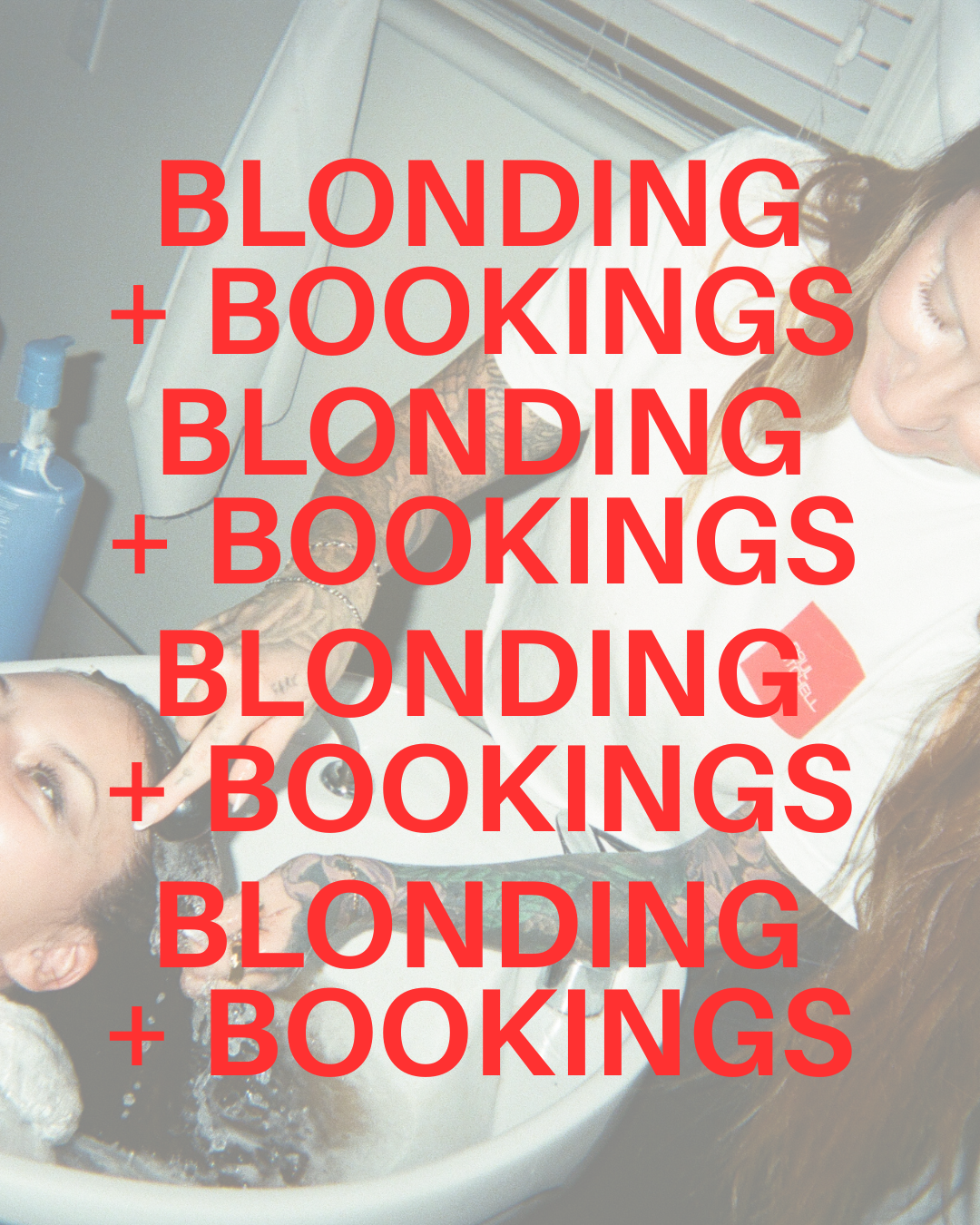 Blonding + Bookings: Hands On Nov 8/9